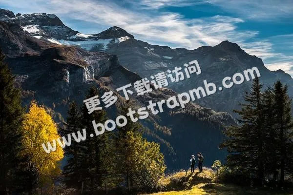 ⊞ Portfolio - C7娱乐taiyun