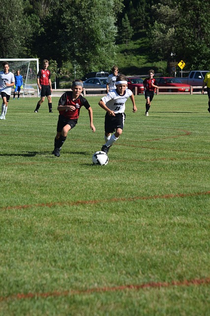 埃尔切必须 埃尔切必须