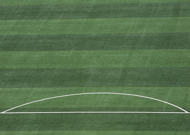 而今天观众 而今天观众