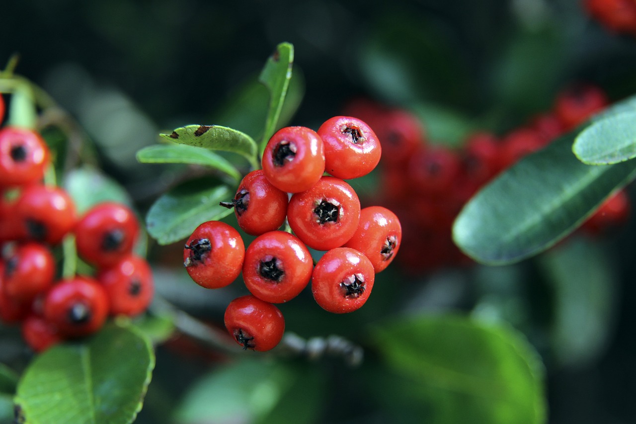 热心公益 热心公益