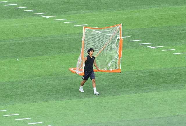 这就是梅菲 这就是梅菲