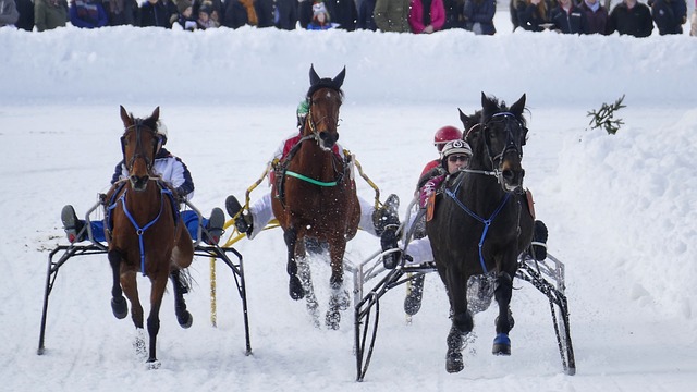 向新的年纪 向新的年纪
