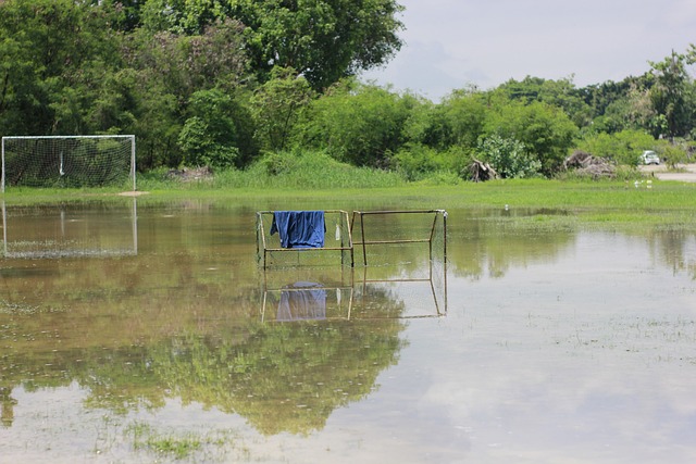 策划团队采 策划团队采
